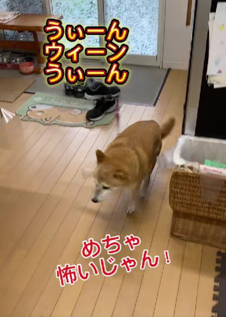 音が聞こえて再び逃亡