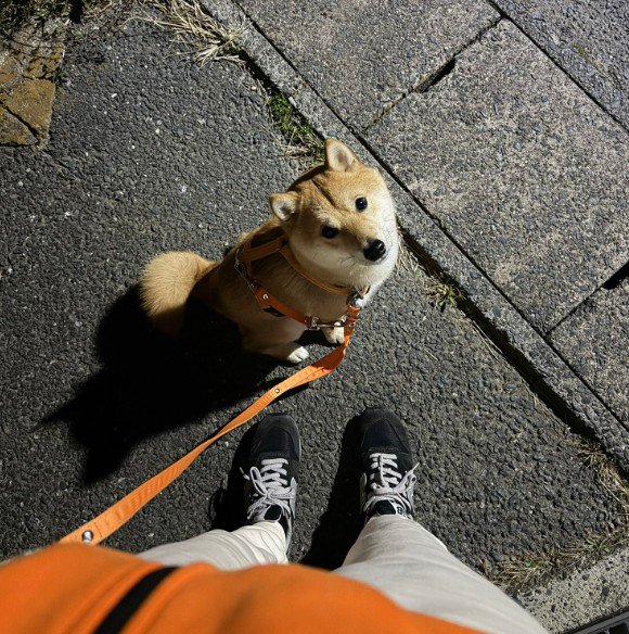 雨の日の散歩は大変！！