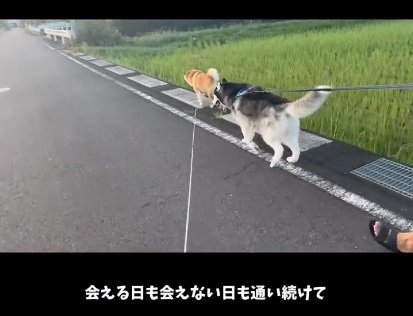 通い続ける2匹