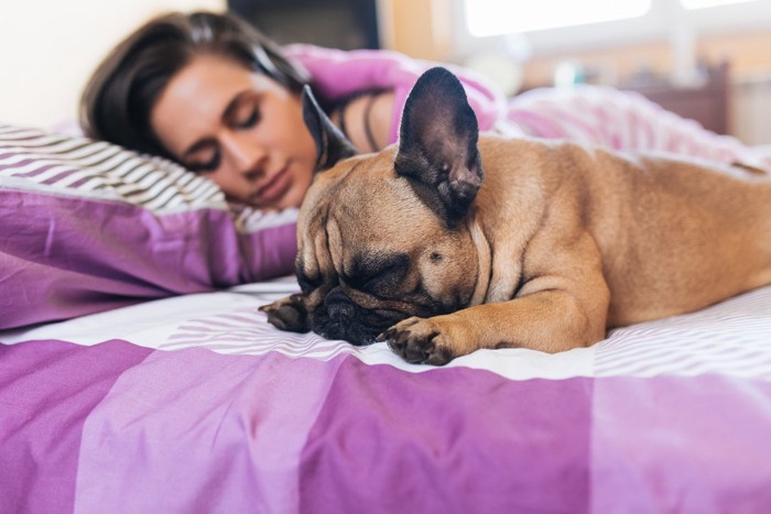 ベッドの上で女性と眠る犬