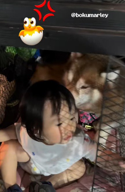 扉を開けてみると…