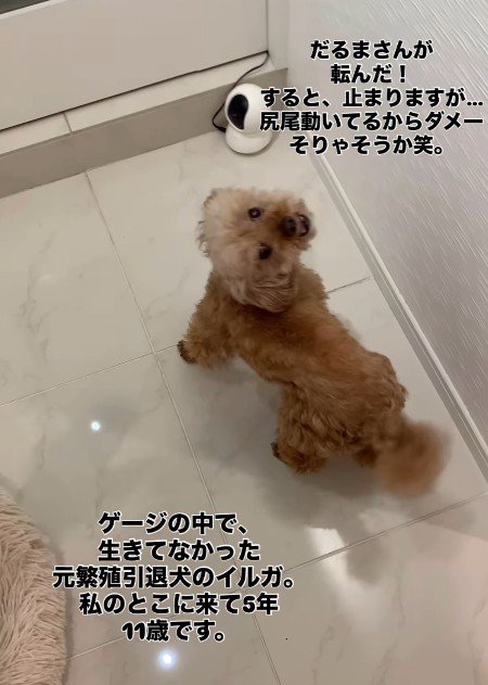 「どう?止まれたでしょ?」