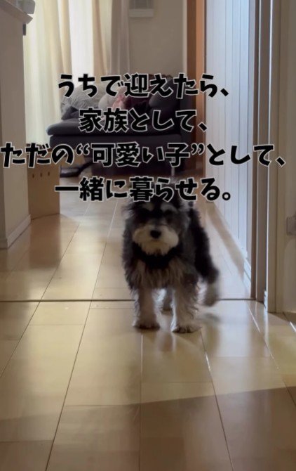 今ではすっかりやんちゃに！