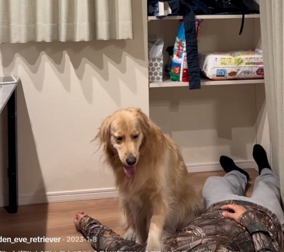 冷静なイヴちゃん