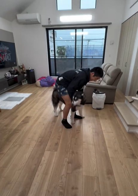 犬にまたがるお兄ちゃん