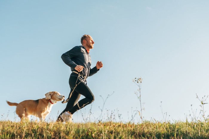 一緒にランニングする男性と犬