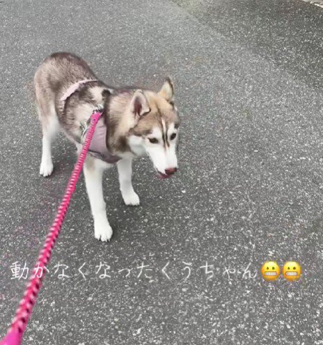 「まだ帰りたくない～」