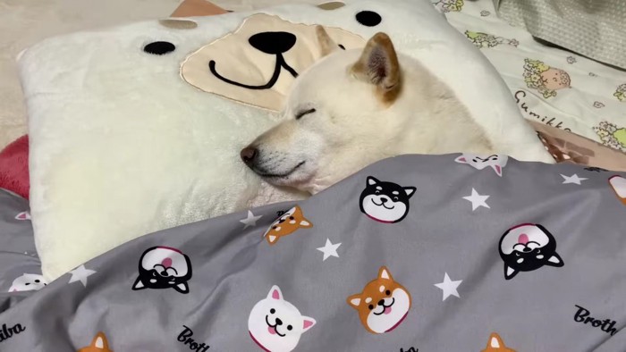 掛け布団もしっかりね