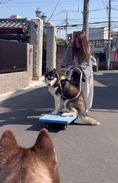 台車に乗ってる！！