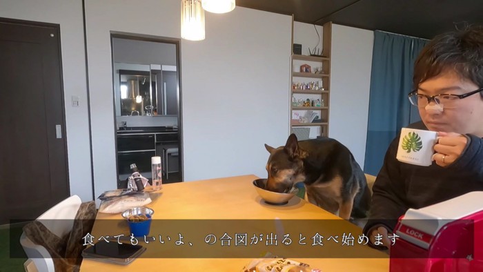 飼い主さんの指示で食べ始める