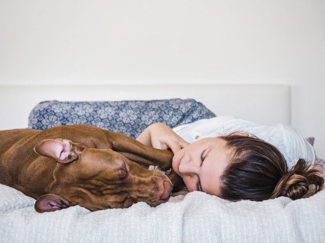 寄り添って眠る犬と女性