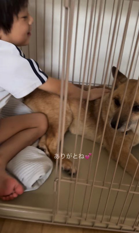 おふとん君と男の子⑩