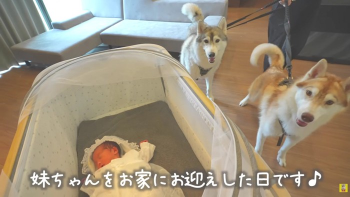 赤ちゃんとの初対面