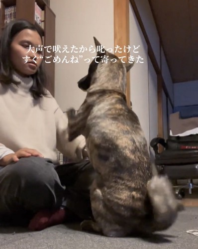 前脚をそっと乗せる犬