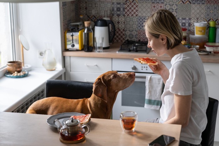 犬と女性