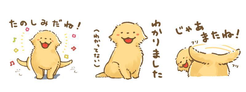 もふもふゴルちゃん【子犬ver