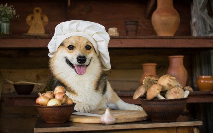 きのこを前に笑顔の犬