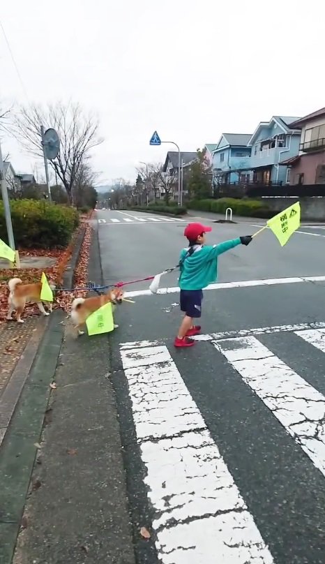 マイ横断旗で横断歩道を渡る♪