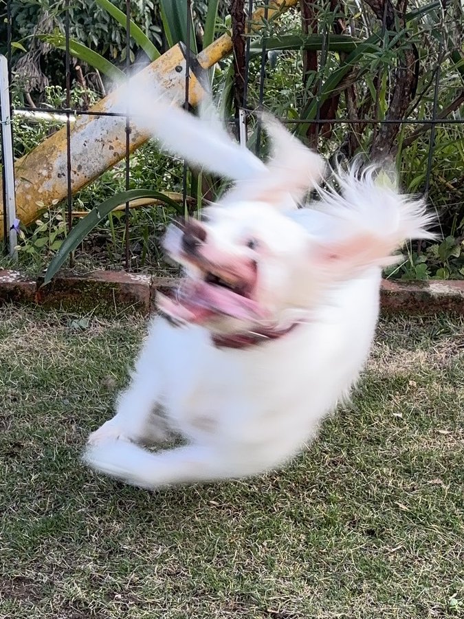 ホラー