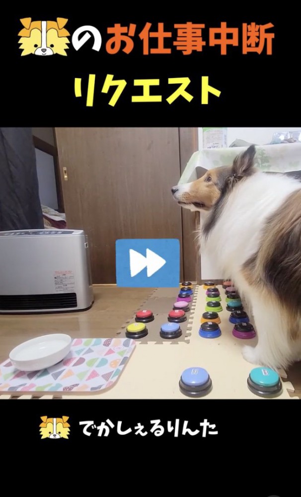 考え中
