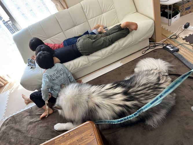 何気ない