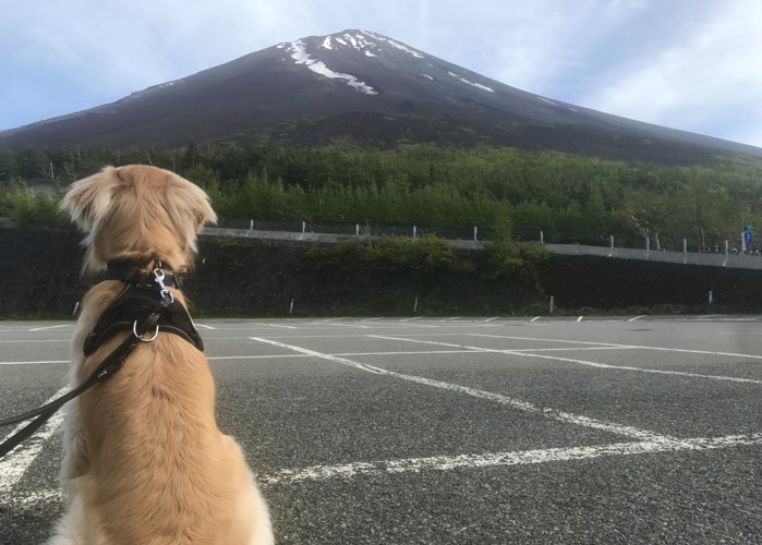 五合目から見る富士山