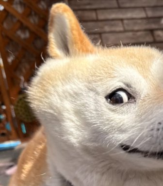 キャラクター