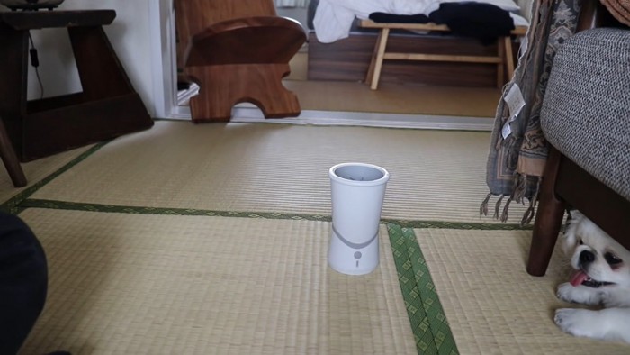 機械が怖くてソファーに隠れる犬