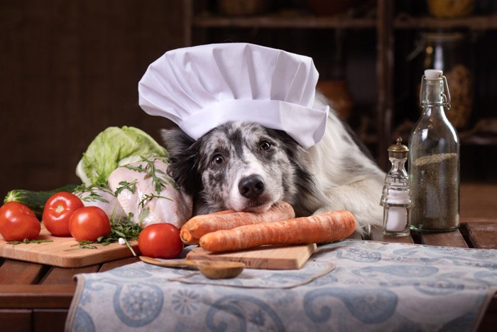 野菜とコック帽をかぶった犬