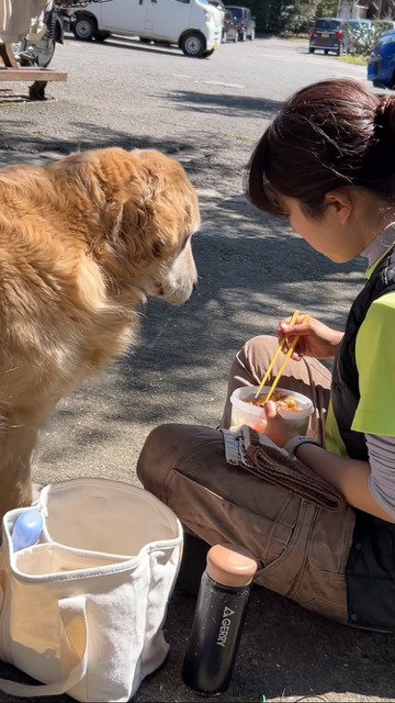 ご飯に目が無い犬