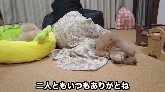 ママに寄り添う2匹