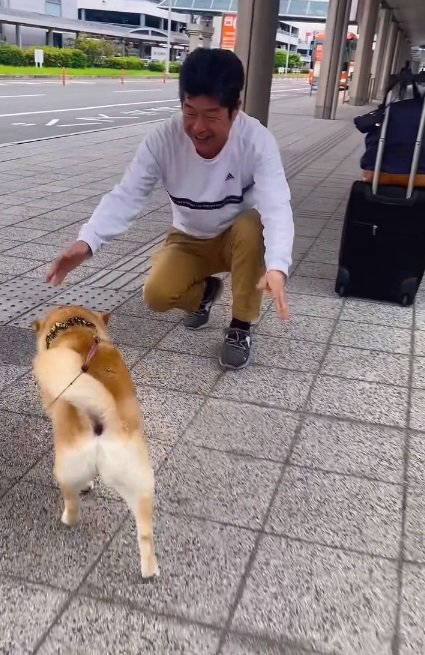 横にそれるこさめちゃん
