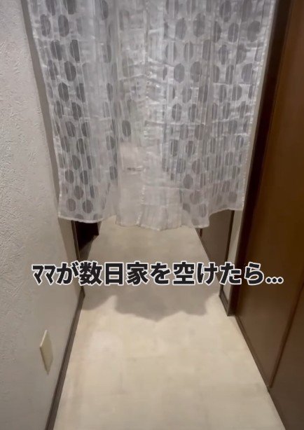 ママが数日ぶりに帰宅