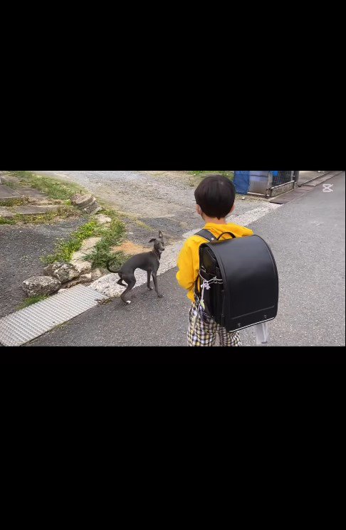 デクくんと男の子の思い出4