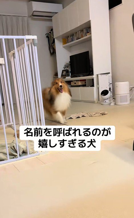 名前を呼ばれた時のリックくん2