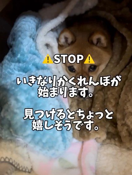 実はかくれんぼが好き…♡