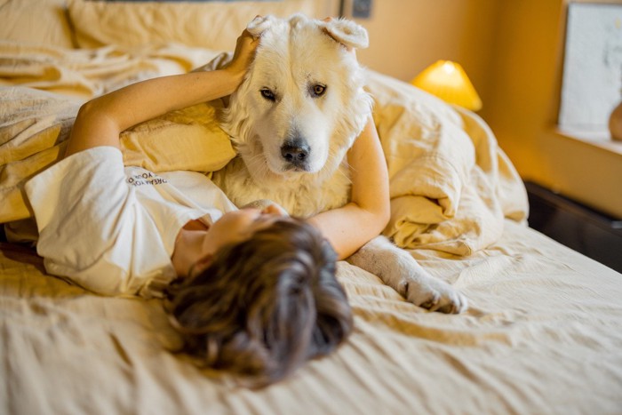 ベッドに人と白い犬