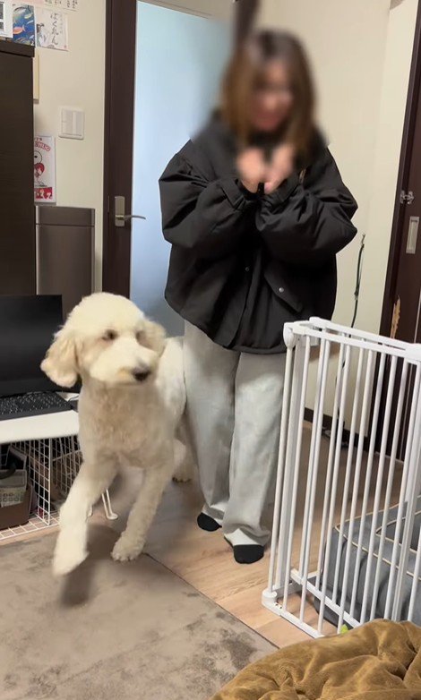 ソラちゃんの熱烈歓迎6