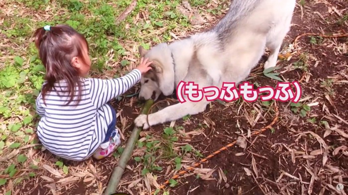 犬の頭をなでる子ども