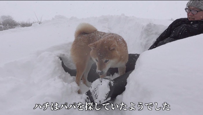 雪の中に座る飼い主に寄り添う犬