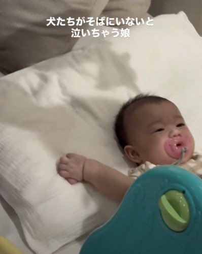 2匹と一緒に過ごしてきました