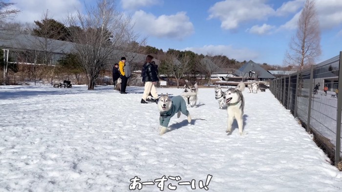 雪遊びを開始！