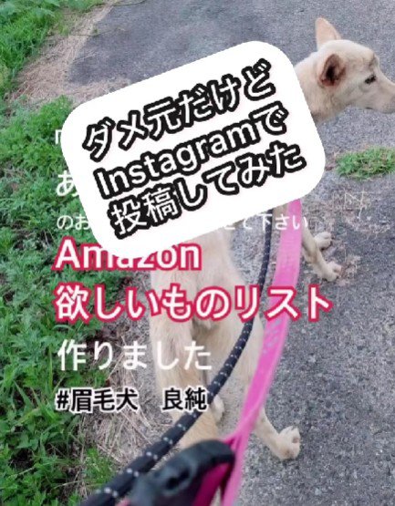 ＳＮＳでサポートを求めます