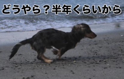 半年たつと急変