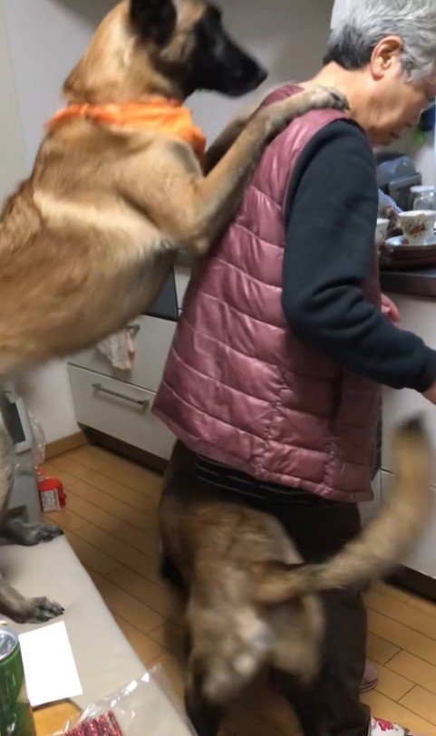 おんぶしてもらうウルルちゃん＆シオンちゃん
