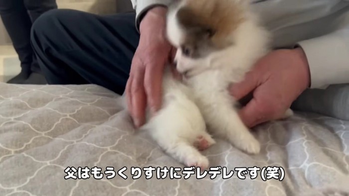 夢中になってしまった