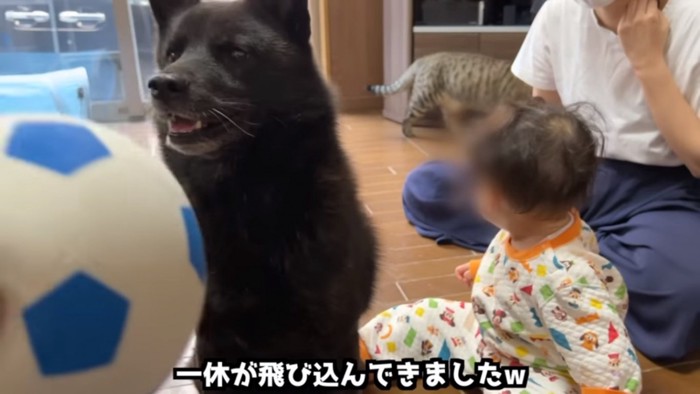 みーちゃんの前で守る一休さん