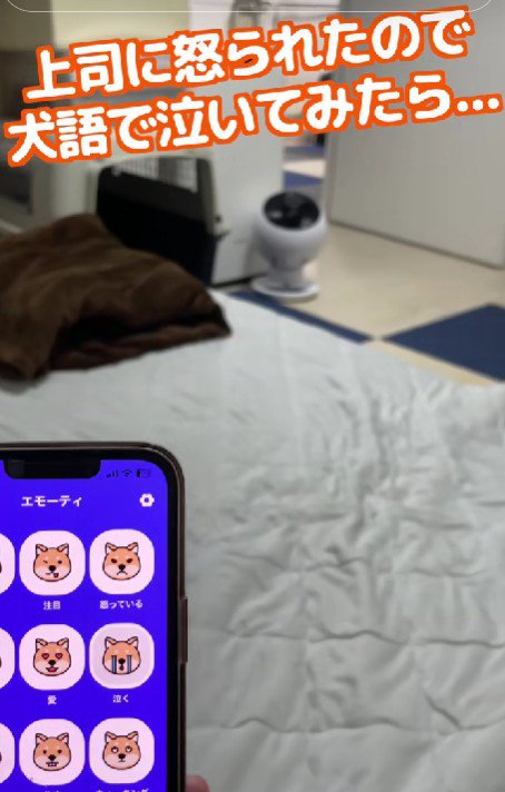 上司に怒られた…