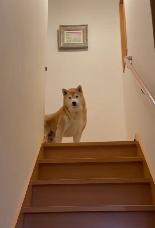 虚無な表情に爆笑！！