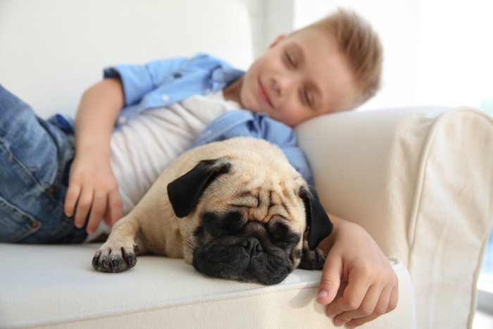 男の子と犬